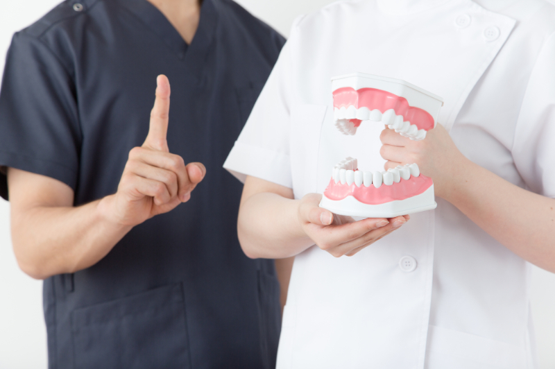 矯正で歯を動かす仕組みを説明する歯科医師